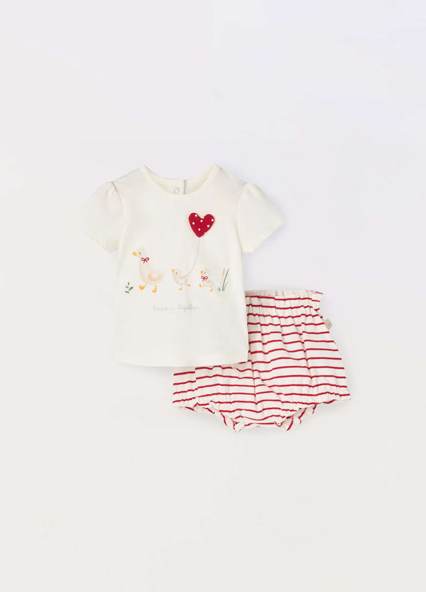 Set in jersey di puro cotone neonata
