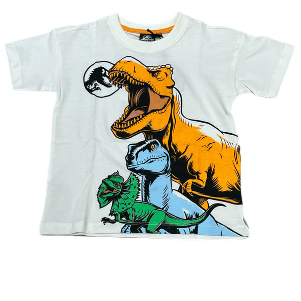 T-shirt in cotone bambino